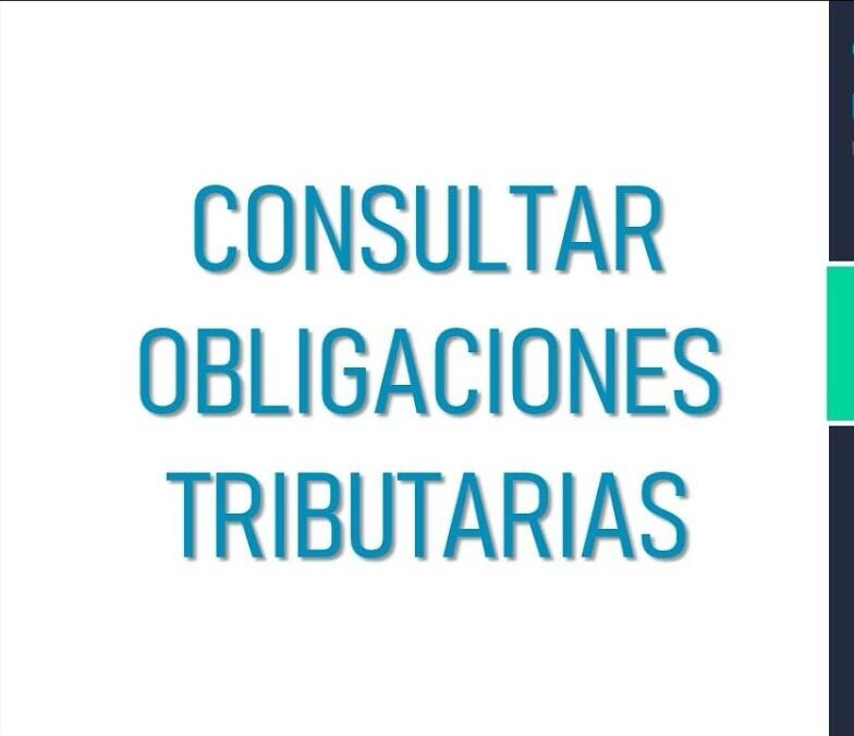 DIAN OBLIGACIONES