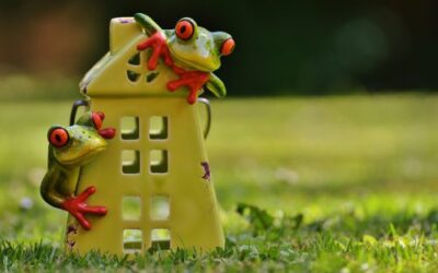 ¿CUÁL ES LA DIFERENCIA ENTRE EL PATRIMONIO DE FAMILIA Y LA AFECTACIÓN A VIVIENDA FAMILIAR?