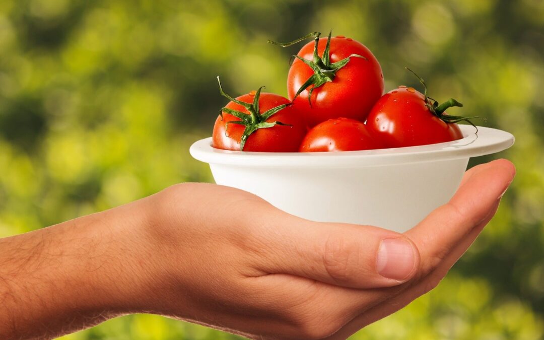 ¿QUÉ SE ENTIENDE POR DERECHO DE ALIMENTOS?
