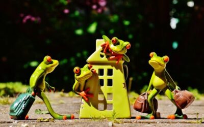 ¿QUÉ DIFERENCIA HAY ENTRE LOS GANANCIALES Y LA PORCION CONYUGAL?