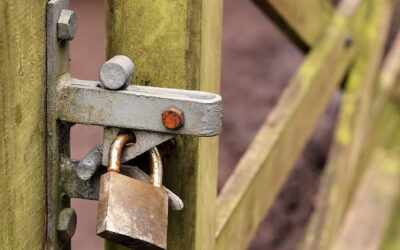 CONOZCA DE QUÉ SE TRATA LAS LIMITACIONES AL DOMINIO