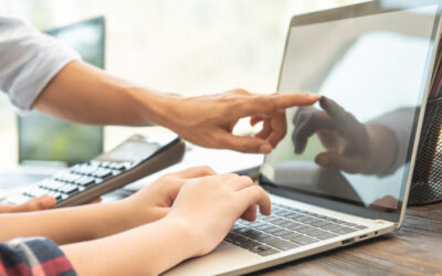 FACTURACION ELECTRONICA VOLUNTARIA